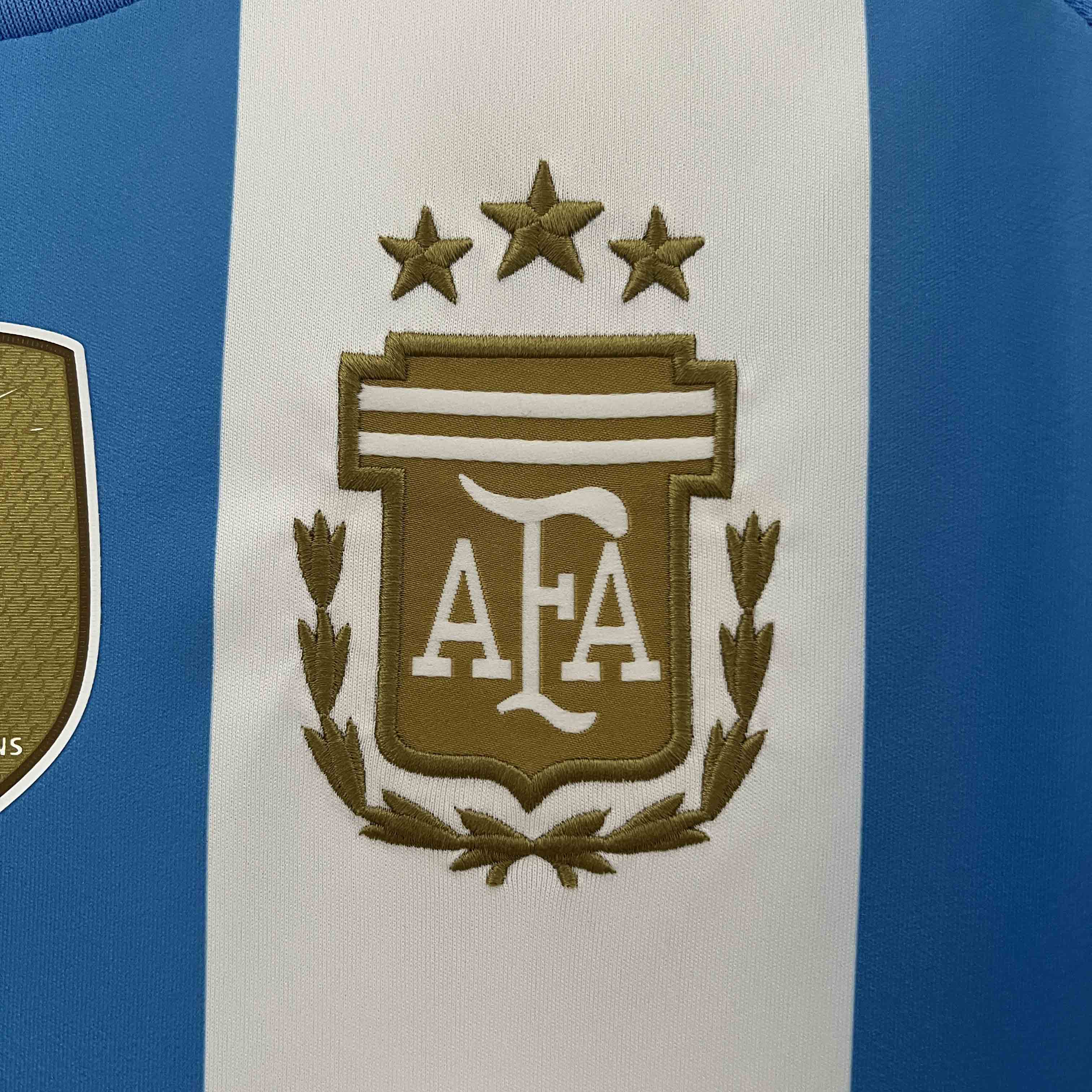 2023/24 Argentina Copa America Home Soccer Jersey - view 10