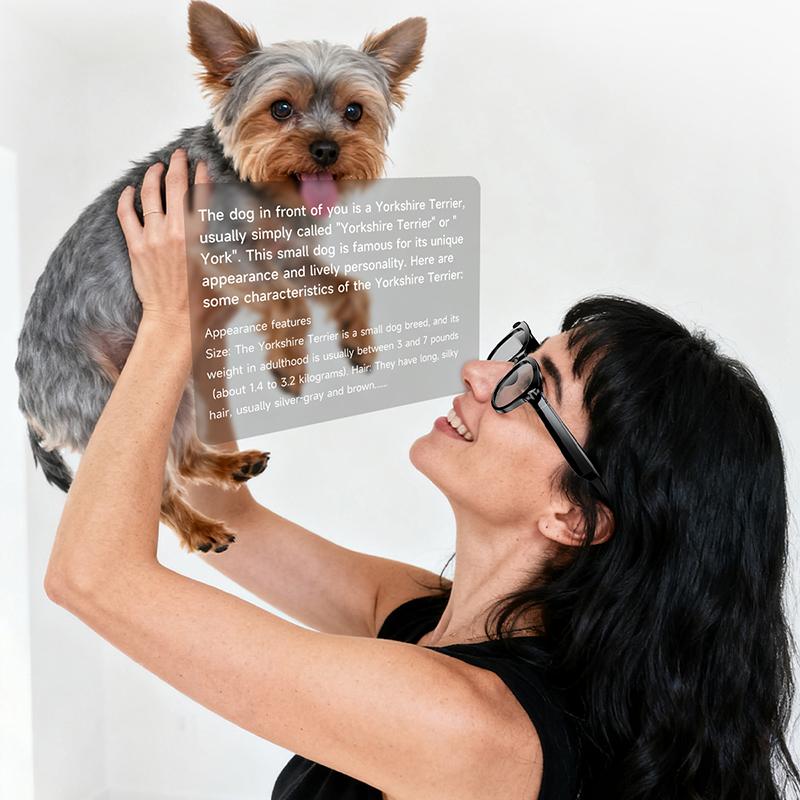 Camera Glass BT V5.3 Sunglasses Glasses 200W Camera Call Outdoor Sports Headphones HIFI Black Technology Anti-touch Unisex